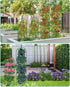 2 Pack 6Ft MYMULIKE Garden Trellis for Climbing Plants Outdoor & Indoor - Tall Rustproof Plant Support Cage for Vines