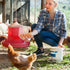 60Pack 1 Dozen Commercial 3x4 Duck Egg Cartons Cheap Bulk Jumbo Egg Cartons Extra Large Egg Containers for Home Ranch
