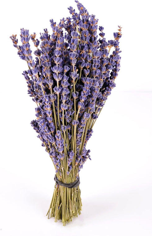 Findlavender Royal Velvet Lavender Bundles - 1 Bundle - 14" - 16" Long - Perfect for Any Occasion, Wedding