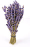 Findlavender Royal Velvet Lavender Bundles - 1 Bundle - 14" - 16" Long - Perfect for Any Occasion, Wedding