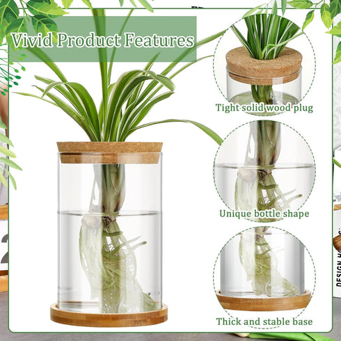 3 3 Office(Common Maxcheck Pcs Sizes Plant Propagation Station Separated Glass Plant Terrarium Water Hydroponic Planter