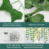 Freyalife Decor(24Pack168Ft),with 160 Fake Vines for Room CE Certified LED String Lights,Artificial Plant Ivy