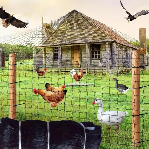 1 (50FT*50FT) Heavy Duty Bird Poultry Netting - Mesh Breathable UV-Resistant Mesh for Garden Chicken Coop Blueberry