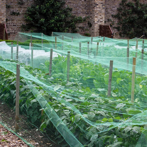 wondihao 50'x50' 1" Bird Netting with Square Mesh Bird Net Garden Netting for Chicken Coop, Aviary, Deer Fence, Chicken