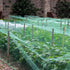 wondihao 50'x50' 1" Bird Netting with Square Mesh Bird Net Garden Netting for Chicken Coop, Aviary, Deer Fence, Chicken