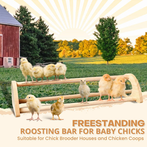 16" 15 3/4 6 5/8 3 1/2" TonGass Extra Long Chicken Perch - Freestanding Roosting Bar for Baby Chicks with Built