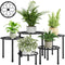 Metal Plant Stand Indoor Outdoor,Indoor Plant Stands for patio rust proof,Heavy Duty