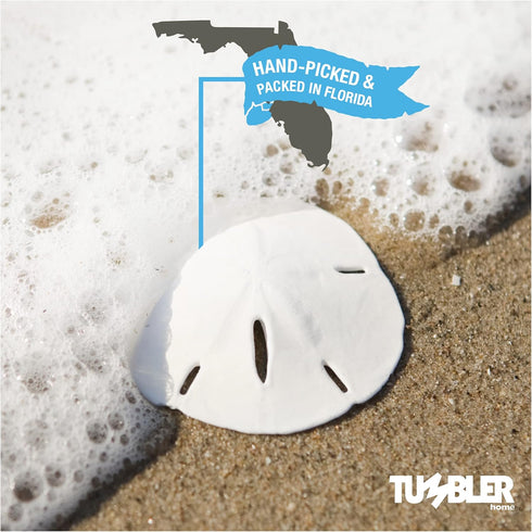 Tumbler Home White Sand Dollars, 10pcs, 3"-3.5" - Wedding Seashell Craft Sandollars