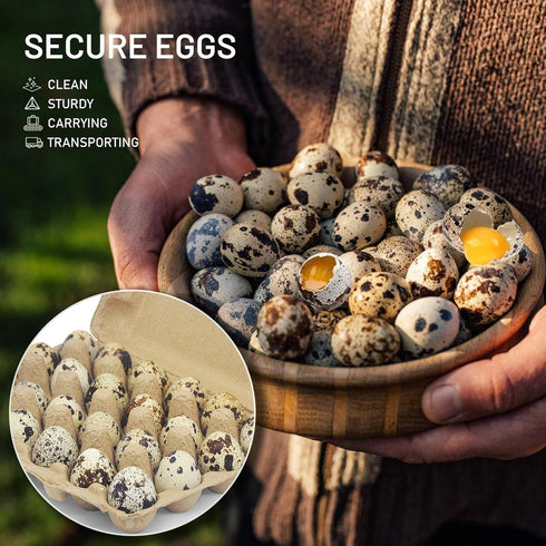 HavRixor 30 Pack- Dozen 24 Counts Quail Egg Cartons Holds Up to Two Eggs Bulk Blank Container Empty Cardboard Thickness