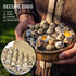 HavRixor 30 Pack- Dozen 24 Counts Quail Egg Cartons Holds Up to Two Eggs Bulk Blank Container Empty Cardboard Thickness