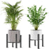 NSYOOMH 2PCS Adjustable Metal Plant Stand Black, Fits 8-13 Inch Heavy Duty