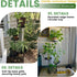 5-Tier 38in) TOSKING Tall Plant Stand Indoor & Outdoor, Anti-Tip Round Base for Pots, Child and Pet Friendly, Heavy