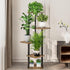 5 (5 AZERPIAN Plant Stand Tier Indoor Metal Flower Shelf for Multiple Plants Corner Tall Flower Holders for Patio