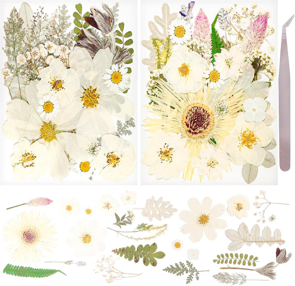 50Pcs Dried Pressed Flowers - Real Pressed Flowers, Natural Dry Leaves, Bulk Colorful Herbs Kit for Crafts