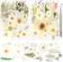 50Pcs Dried Pressed Flowers - Real Pressed Flowers, Natural Dry Leaves, Bulk Colorful Herbs Kit for Crafts