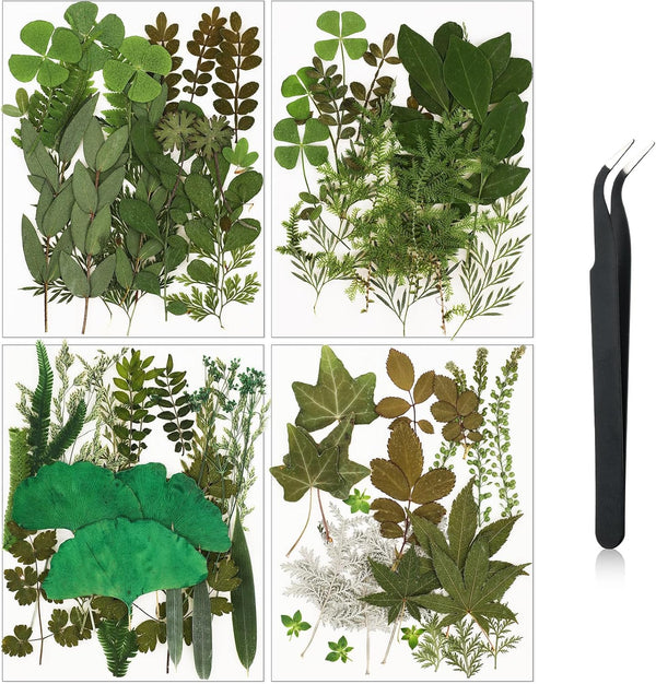 Nuanchu Pressed Flowers Bulk Dried Flower for Crafts, Natural Dried Flower Leaves with Tweezer for Resin Mold DIY