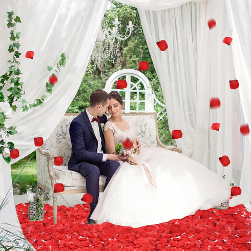 Artificial Silk Rose Petals for Romantic Night, Wedding, Party, Anniversary Decorations, Red, 3000 PCS