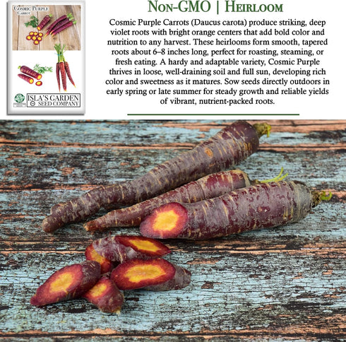 500+ Packet, Cosmic Purple Carrot Seeds for Planting, Heirloom Seeds Per (Isla's Garden Seeds), Non GMO Seeds