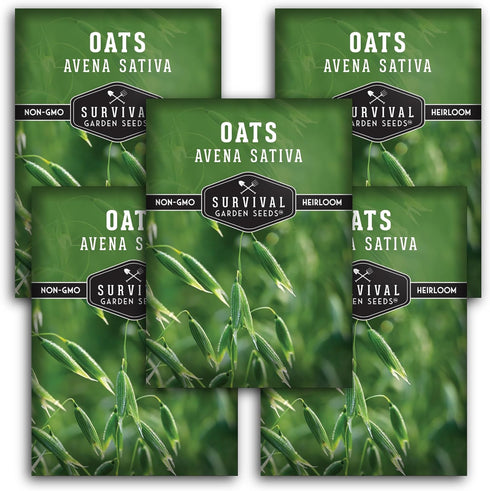 Oat Seeds for Planting Heirloom Avena Sativa Milky Oats Medicinal Herb &