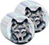 Wolf Birthday Party Supplies Set, Plates Napkins Cups Tableware Kit for 16