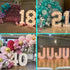 12 Bulbs G40 JoyBox Design LED Light - Battery Operated String Lighting for Marquee Letters Numbers - Indoor & Outdoor