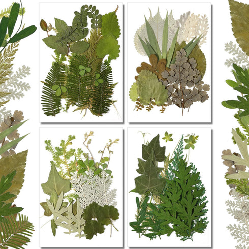 Timtin 84 Pieces Dried Pressed Leaves Flowers for Crafts, Mini Dried Flowers for Art DIY Handmade Bookmarks