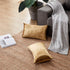GIGIZAZA Gold Velvet Decorative Throw Pillow Covers - 2 Pack Soft Cushion Cover 12x20 for Sofa Bed