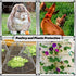 16.9 Inch 40 0.6 Inch Chicken Wire Fencing Mesh, x Feet Metal Floral Chicken Wire Fence for Crafts Poultry Garden