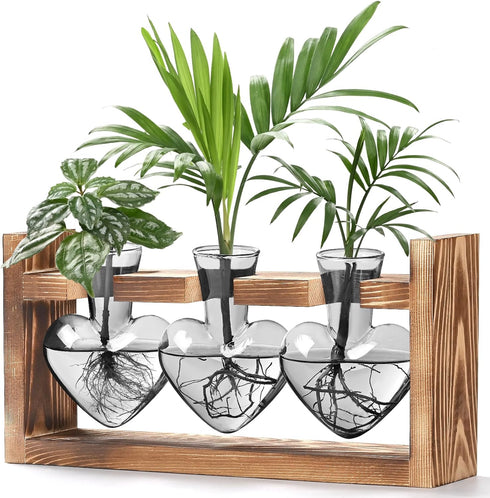 Lifecapido Heart Shaped Propagation Stations, Plant Terrarium with Wooden Stand, Plant Propagation