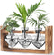 Lifecapido Heart Shaped Propagation Stations, Plant Terrarium with Wooden Stand, Plant Propagation