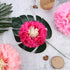 Gejoy 12 Pieces Pink Paper Flowers Tissue Pom Poms for Wedding Backdrop, Baby Shower, Birthday
