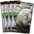 Sow Right Seeds - Snowball Cauliflower Seed for Planting - Non-GMO Heirloom