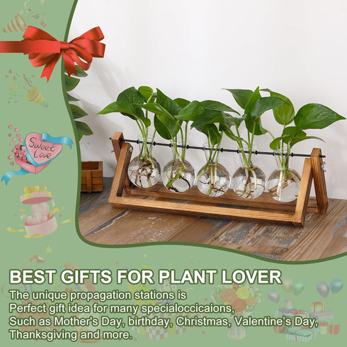 Decor(5 Bulb YIBOT Propagation Stations,Plant Terrarium with Wooden Stand,Plant Lover Gifts for Women for Hydroponics