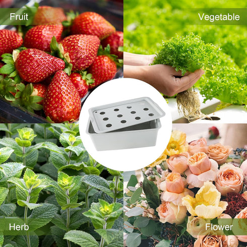 12 MAOPINER Indoor Hydroponic Grow Kit with Bubble Stone, Sites (Holes) Bucket, Air Pump, Sponges - Best Indoor Herb
