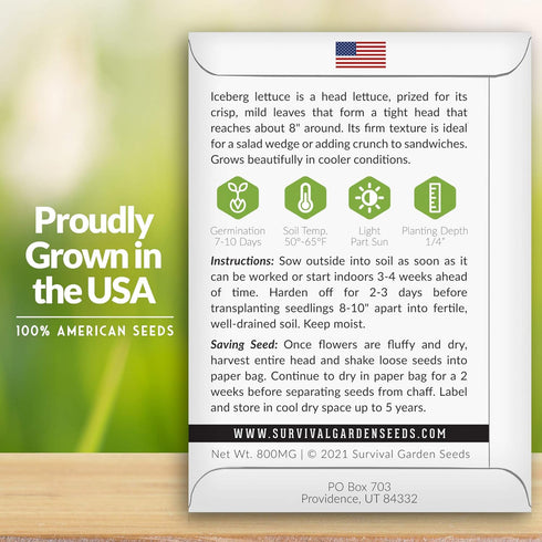 (1 Pack) Iceberg Lettuce Seeds for Planting Crisp Head Lettuce Variety with Crunchy Texture and Sweet Flavor, High