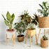 Wood Plant Stand, 12.2" x 13.8" Indoor Outdoor, Wooden Single Floor Pot Holder, Natural Plant Stand, Assembly Required