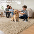LEDODO 6' 9') Fluffy Area Rugs for Bedroom - Soft Plush Shag Rug for Living Room Nursery Kids Room - Non Slip Fuzzy