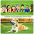 3 5 1.38" Artificial Turf Grass FT x FT, Fake Grass Pile Synthetic Rug Outdoor Indoor, Realistic Grass Carpet Mat