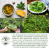 100+ Packet, New Zealand Spinach Seeds for Planting, Heirloom Seeds Per (Isla's Garden Seeds), Non GMO Seeds, Botanical