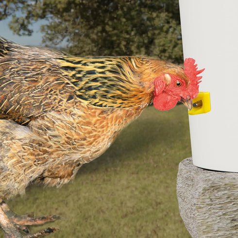 Pack 12, Chicken Waterer Nipples, Horizontal Side Mount, Anti-Leak Automatic Water System for Poultry, Suitable