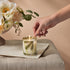 Thymes Frasier Fir Pine Needle Candle - Holiday Candles with Notes of Crisp Siberian Fir, Cedarwood & Sandalwood, 6.5 oz
