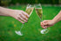 Luigi Bormioli 6 oz Sparkling Wine Glasses (Set of 2), Clear
