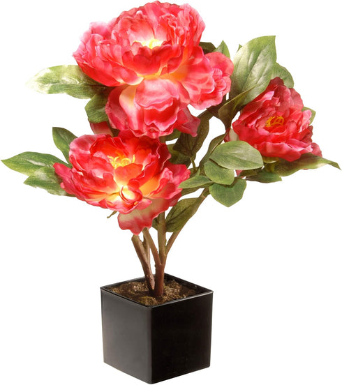 National Tree Company Artificial Flowers - Fuchsia Peony, 15 in, Includes Ceramic Pot Base