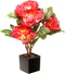 National Tree Company Artificial Flowers - Fuchsia Peony, 15 in, Includes Ceramic Pot Base