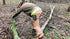 16" THE MINGO Ultimate Firewood Measuring Tool - Chainsaw Fire wood Marking Tool With Marking Wheels - Log Paint Marker