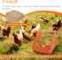 Touri 6 Pack Chicken Nesting Boxes for Laying Eggs for Hens Ducks and Poultry, Orange