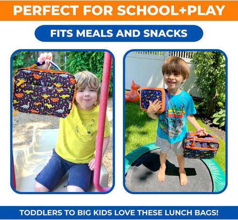 Dinosaur Lunch Box for Boys with Ice Pack, Insulated Bag for Toddlers Kids, BPA Free, Blue Orange Dino
