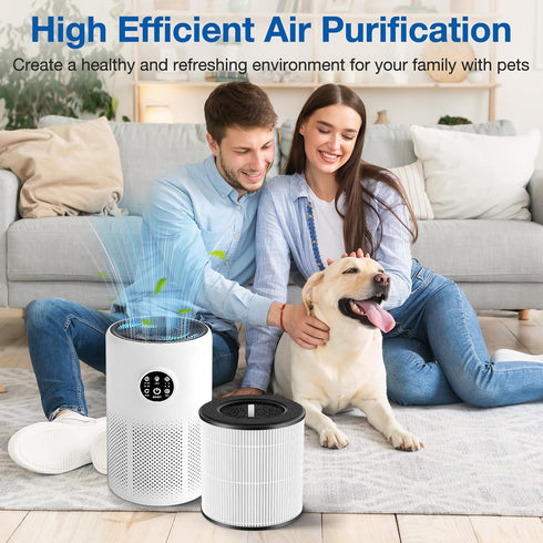 D10 Replacement Filter for Tailulu D10 HEPA Air Purifier, 3-in-1 H13 Grade, 2 Pack