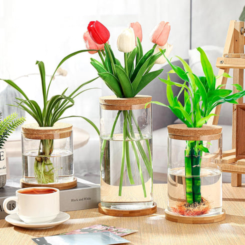 3 3 Office(Common Maxcheck Pcs Sizes Plant Propagation Station Separated Glass Plant Terrarium Water Hydroponic Planter