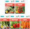 Back to The Roots Organic Vegetable Seeds Variety (5-Pack)